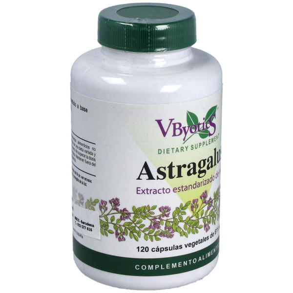 Vbyotics Astragalus Extracto Estandarizado Raíz 120Caps