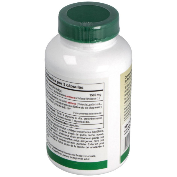 Vbyotics Mastic Gum Extracto De Resina De Lentisco 120Caps