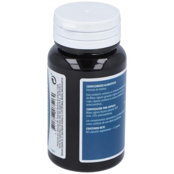 Bonusan Ribes Nigrum Extracto 60 Capsulas