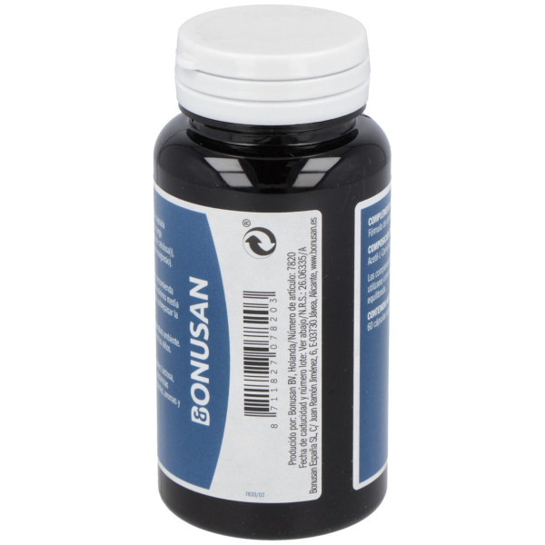 Acetyl L-Carnitina 500Mg. 60Vcap.