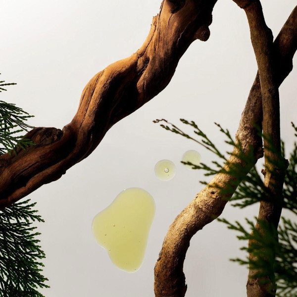 Homme Shower Foam 200 Ml 2