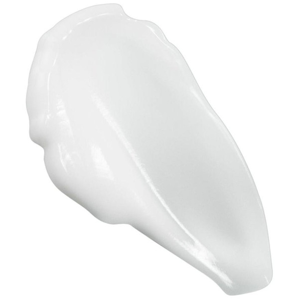 Vegan Rice Crema Hidratante Facial 85 Ml