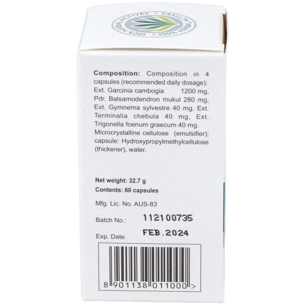 Himalaya Healthcare Ayurslim Adelgazar 60Cáps