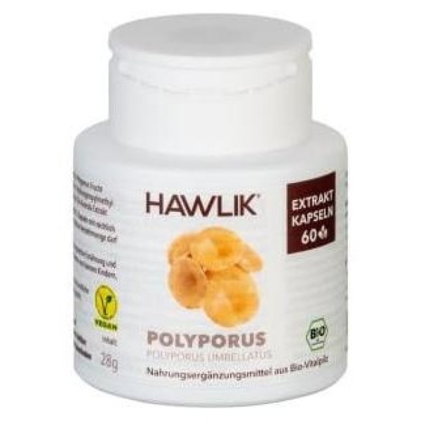 Poliporo Umbelado Extracto Puro 60Vcaps.