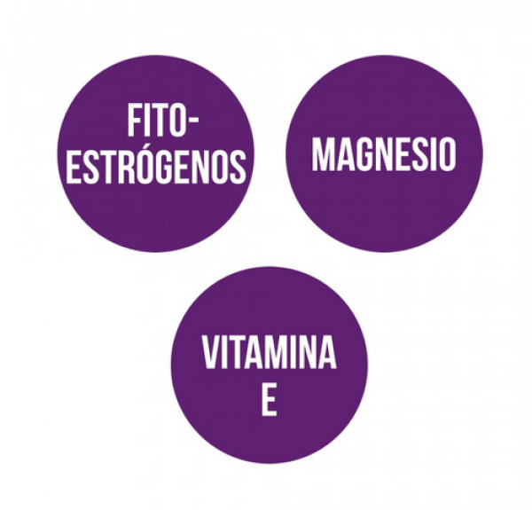 Isoflavonas Magnesio + Vitamina E, 30 Caps. - Ana Maria Lajusticia 