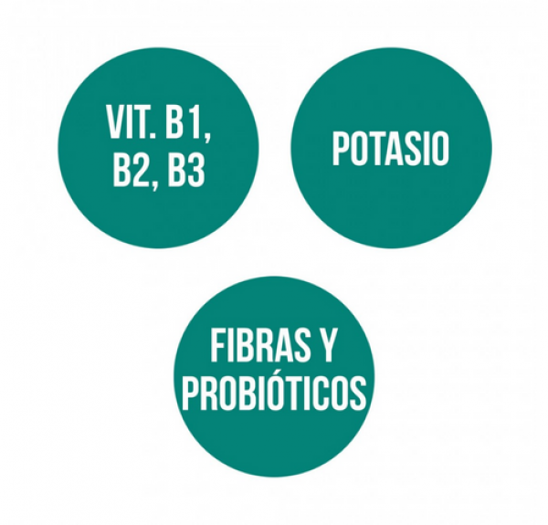 Levadura Cerveza, 280 Comp. -  Ana Maria Lajusticia