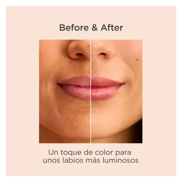 Reparador Labial Stick Granate, 4 g. - Isdin