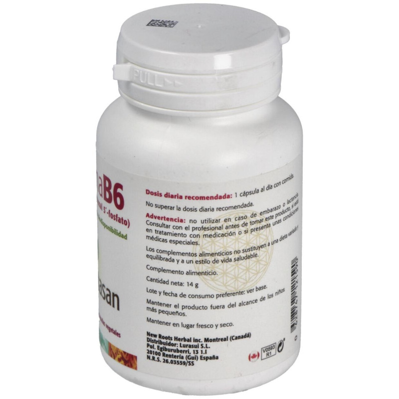 Vitamina B6 60caps - Sura Vitasan