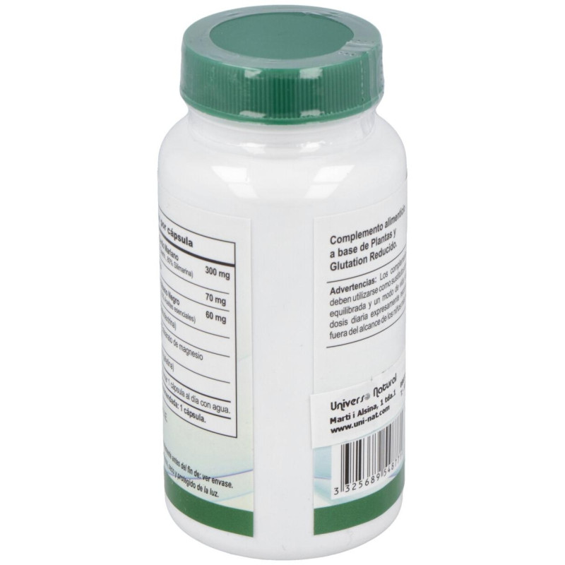 Vbyotics Mega Silymarin 240 Y Glutation 100Caps