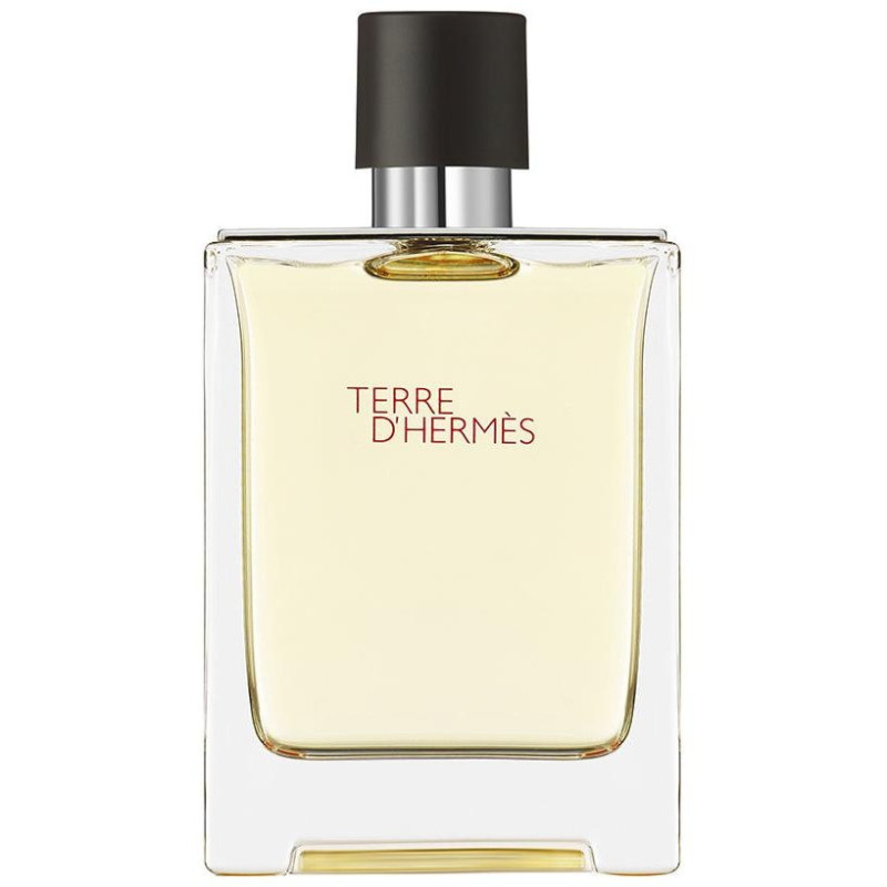 Terre D'hermes Eau de Toilette 100ml - Hermes Paris