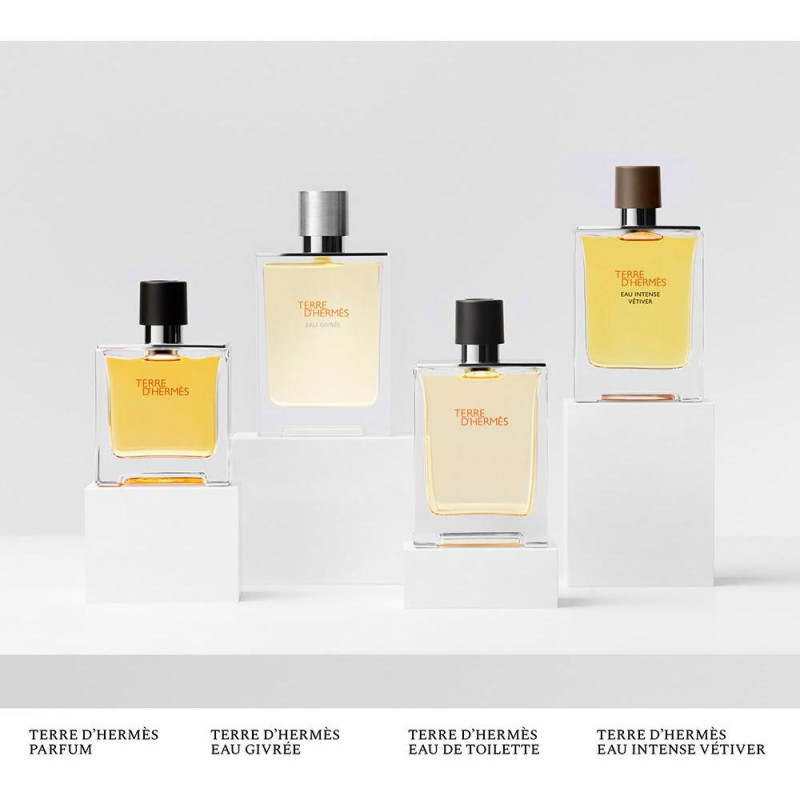 Terre D'hermes Eau de Toilette 100ml - Hermes Paris