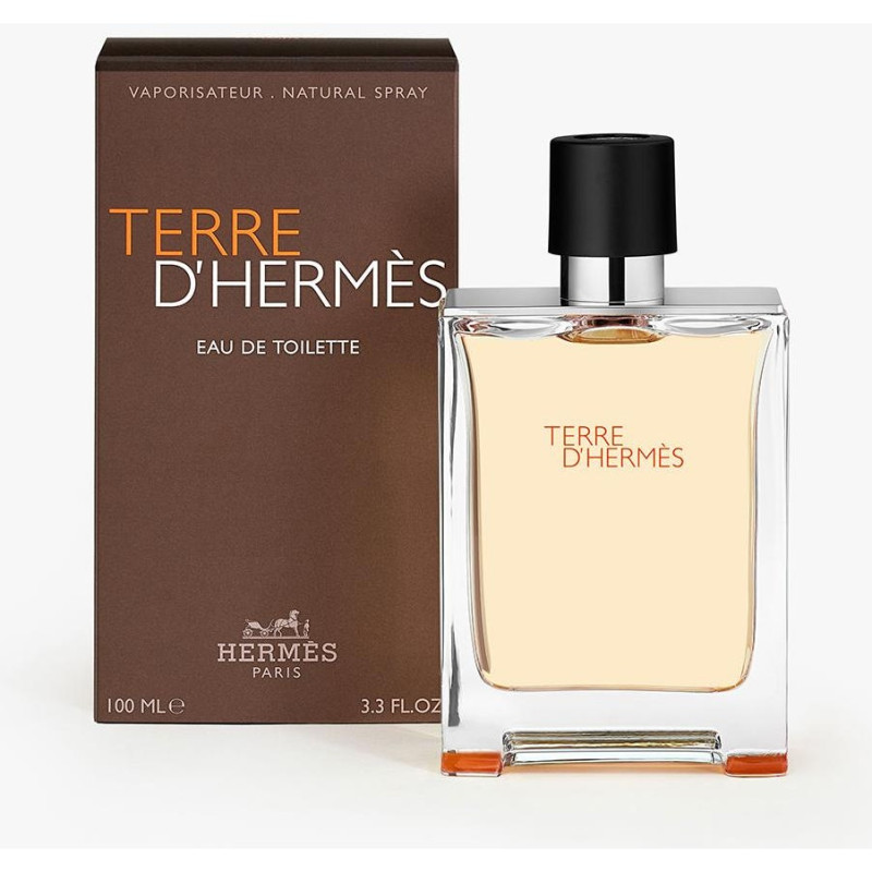 Terre D'hermes Eau de Toilette 100ml - Hermes Paris