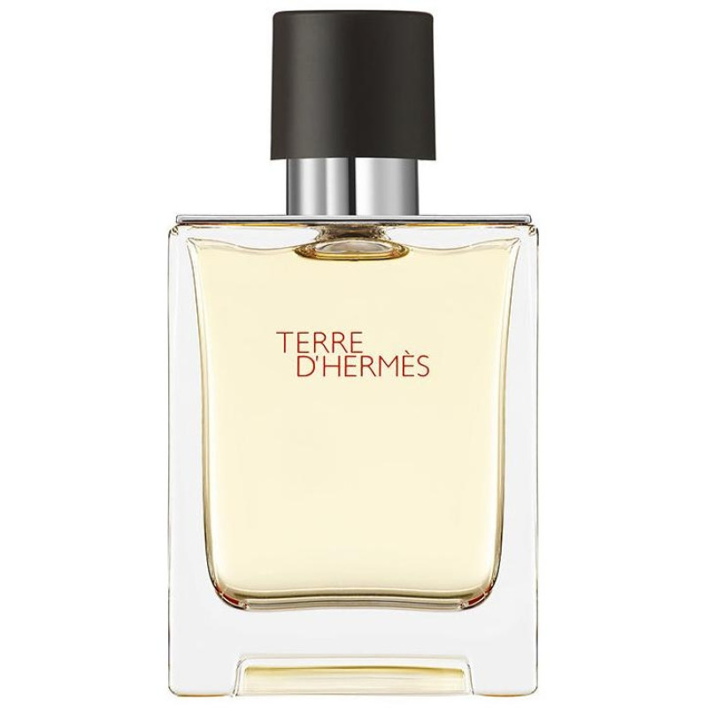 Terre D'hermes Eau de Toilette 50ml - Hermes Paris