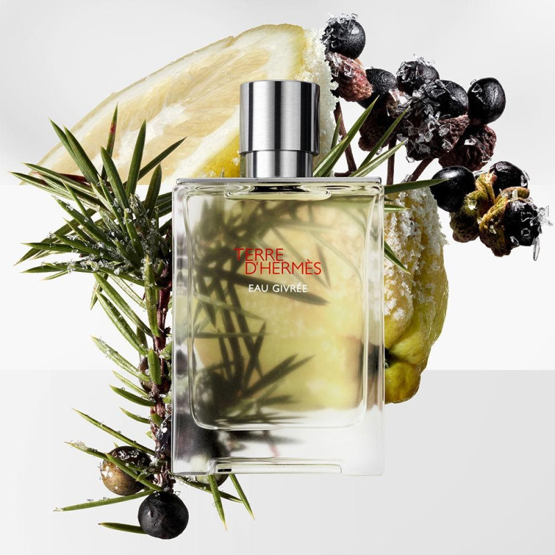 Terre D'hermès Eau Givrée Eau de Parfum Refillable 100 ml - Hermes