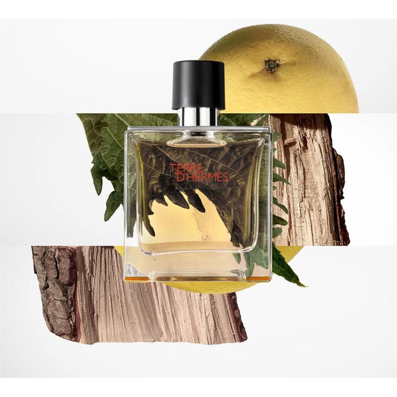 Terre D'hermès Parfum Vaporizador 75 ml - Herms