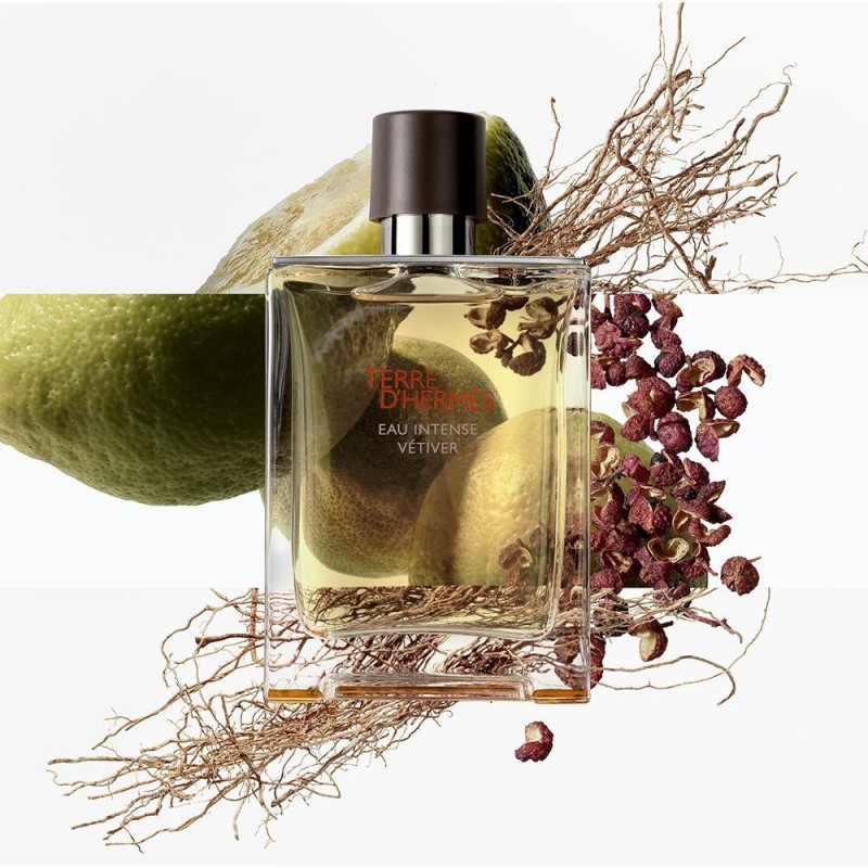 Terre D'hermès Eau Intense Vétiver Eau de Parfum Vaporizador 100 ml - Hermes Paris