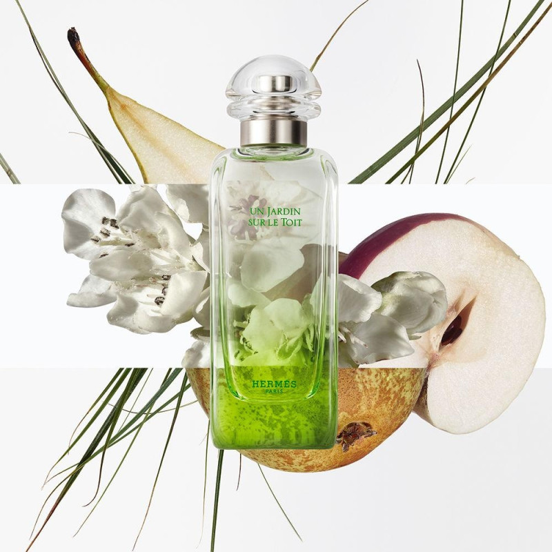 Paris Un Jardin Sur Le Toit Eau de Toilette 100ml Vaporiz - Hermes