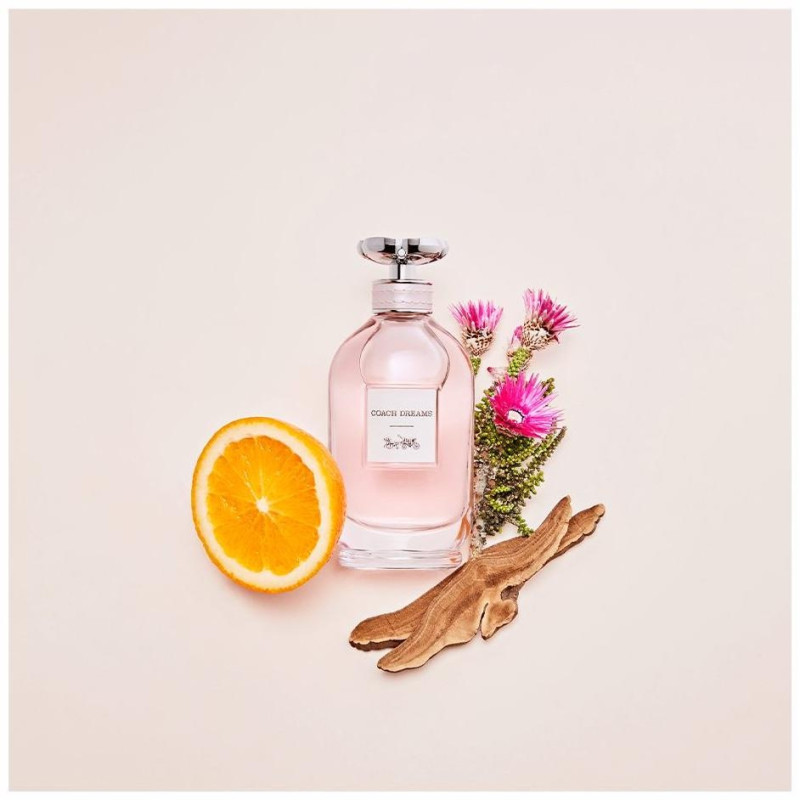 Coach Dreams Eau De Parfum Vaporizador 40 Ml