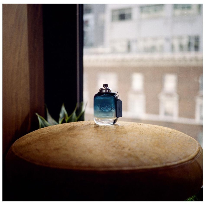 Coach Blue Eau De Toilette Vaporizador 100 Ml
