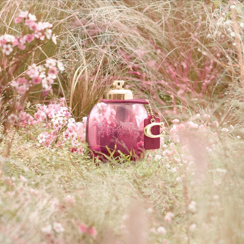 Coach Wild Rose Edp Vapo 90 Ml