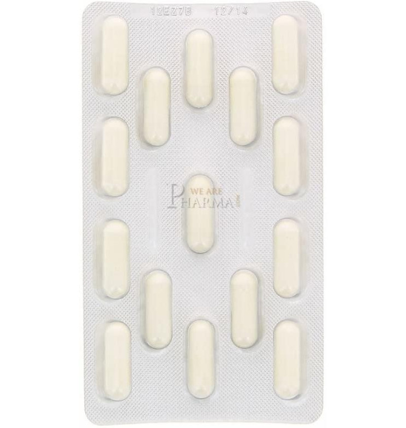 Lactibiane Tolerance Pileje (2,5 g 30 Cápsulas) - Pileje Slu
