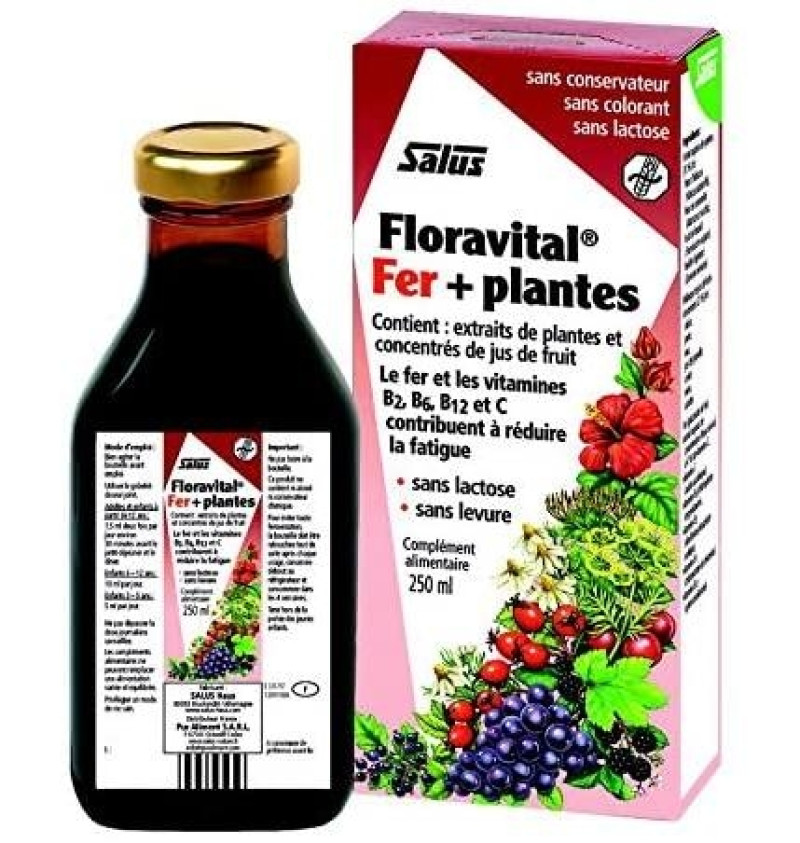Floradix Floravital (1 Frasco 250 ml) - Salus Floradix