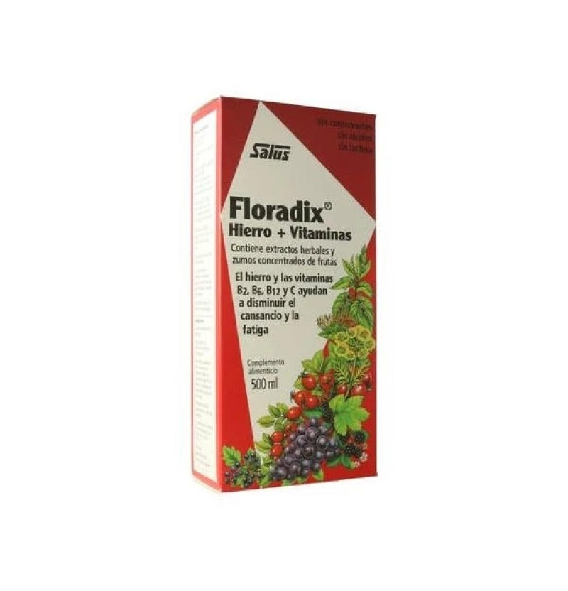 Floradix Elixir (1 Envase 250 ml) - Salus Floradix