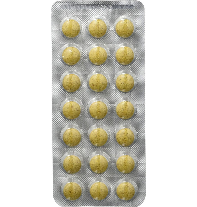 Floradix (84 Comprimidos) - Salus Floradix