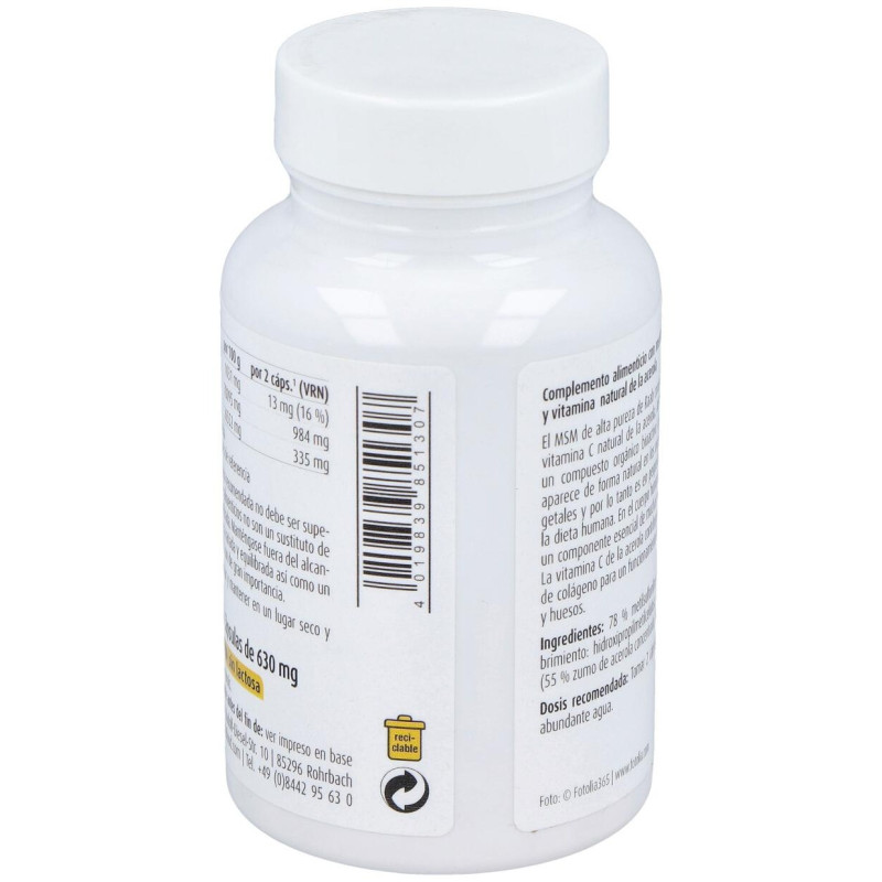Raab Vitalfood Msm Con Vitamina C 90Caps