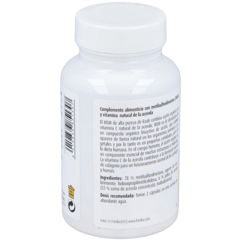Raab Vitalfood Msm Con Vitamina C 90Caps