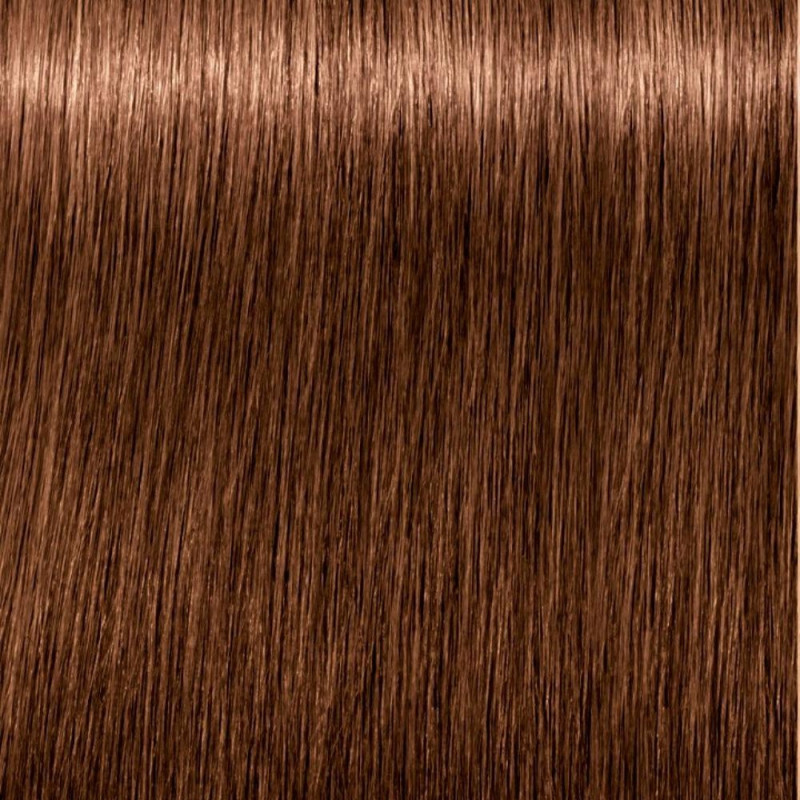 Igora Royal 6 - 65 - Schwarzkopf