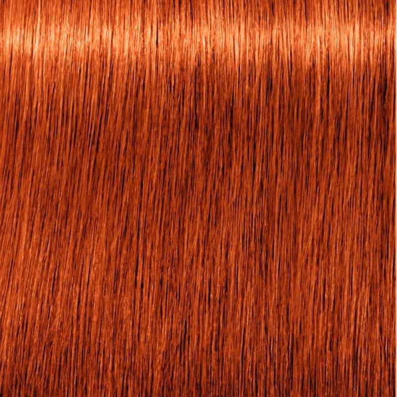 Igora Royal 7 77 60ml - Schwarzkopf