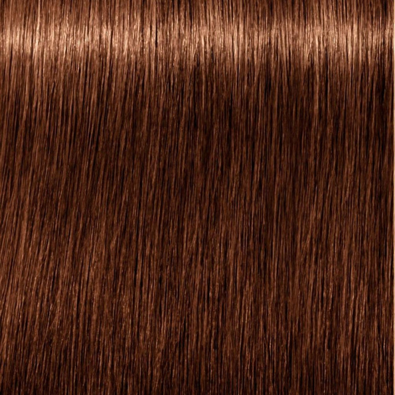 Schwarzkopf Igora Tinte 7-60 Rubio Medio Chocolate 60Ml