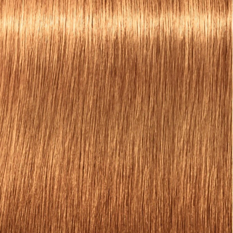 Igora Royal Absolutes 9 60 60ml - Schwarzkopf