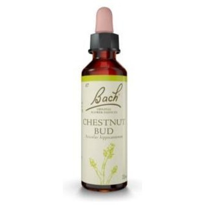Flores Bach Chestnut Bud Brote Castaño 20ml - Flores de Bach Originales