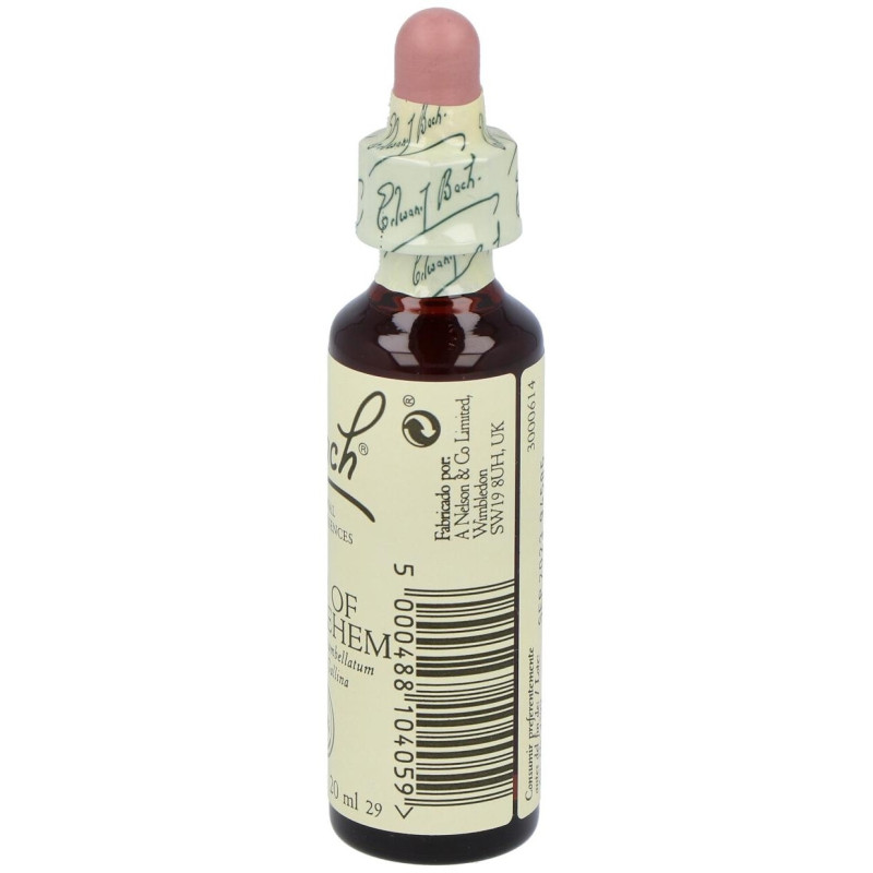 Flores Bach Star Of Bethlehem Leche Gallina 20ml - Flores de Bach Originales