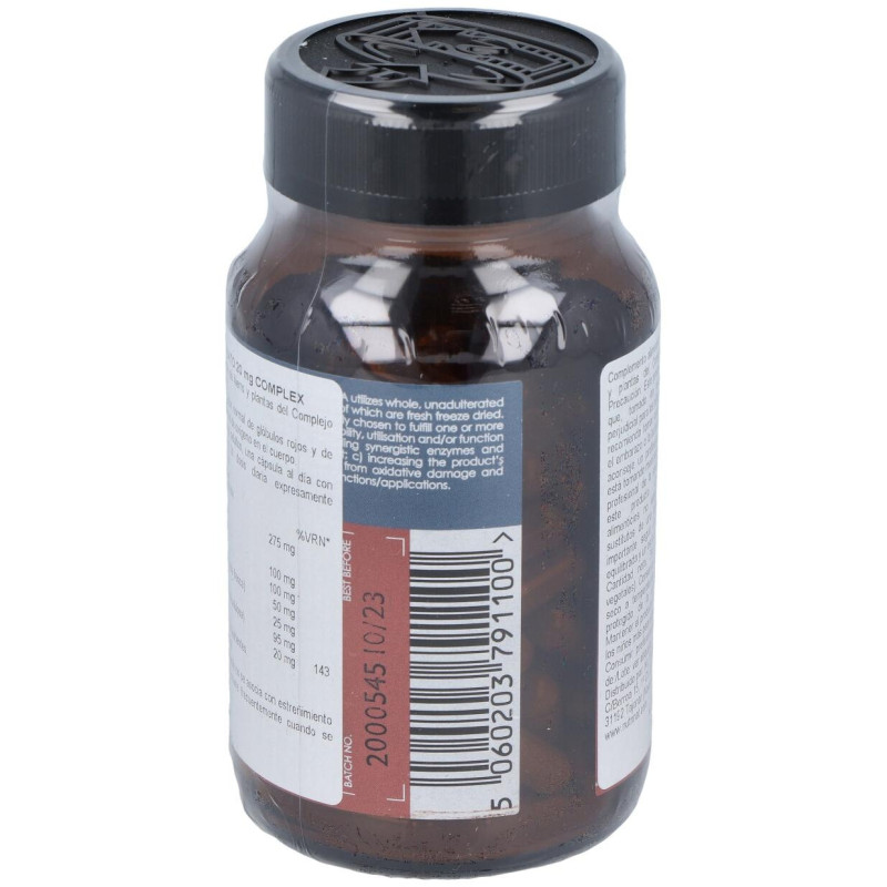 Terra Nova Hierro Bisciglinato 20Mg 100Caps
