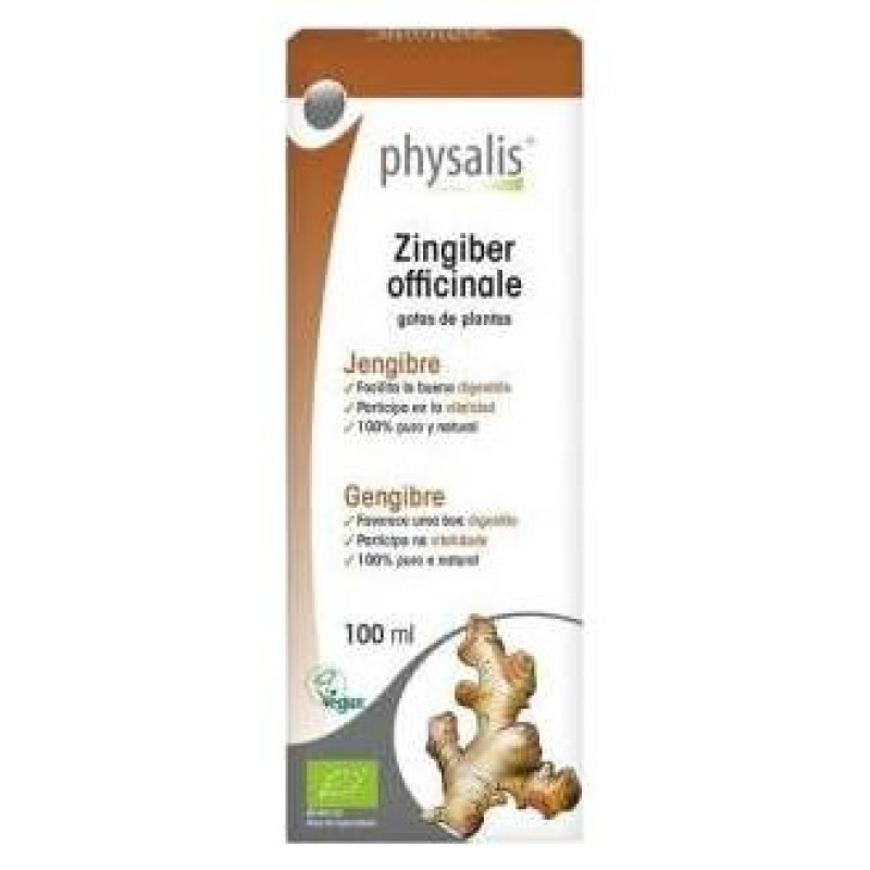 Zingiber Officinale Jengibre 100ml - Physalis