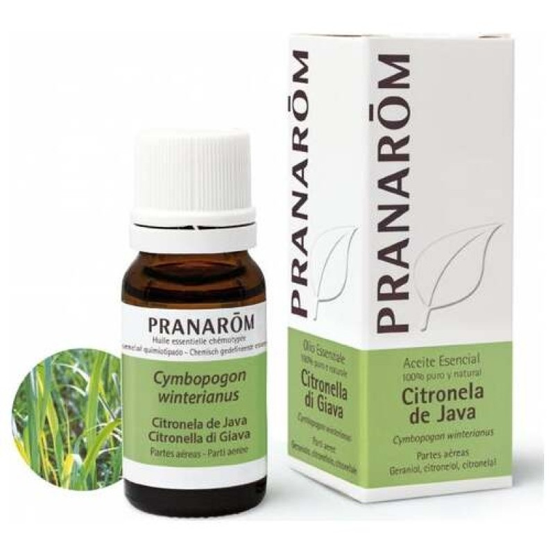 Pranarôm Aceite Esencial de Citronela de Java 10ml - Pranarom