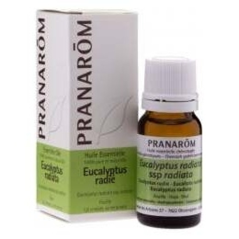 Pranarôm Aceite Esencial de Eucalipto Radiata 10ml - Sin Marca