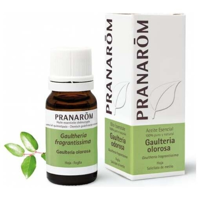 Gaulteria Olorosa Hoja Aceite Esencial Bio 10Ml.