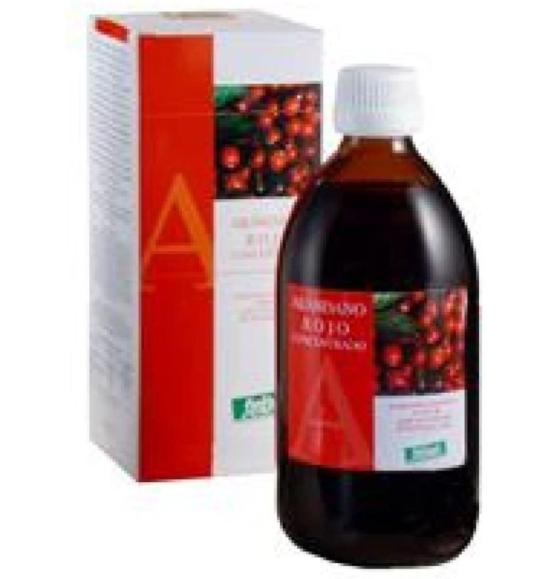 Arandano Rojo Cranberry Jugo Concentrado (1 Envase 490 ml) - Casa Santiveri