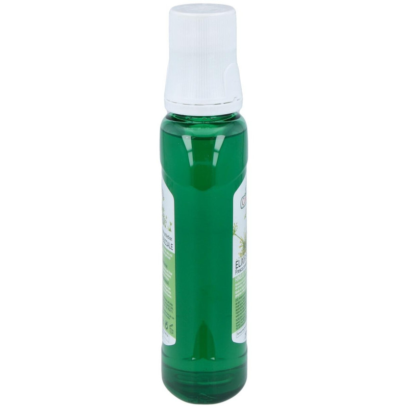Elixir Bucal Mirra Propolis e Hinojo 250ml - Corpore Sano