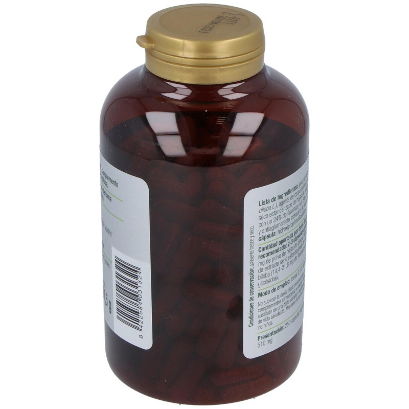 Ginkgo Biloba 600mg 250cápsulas - El Granero