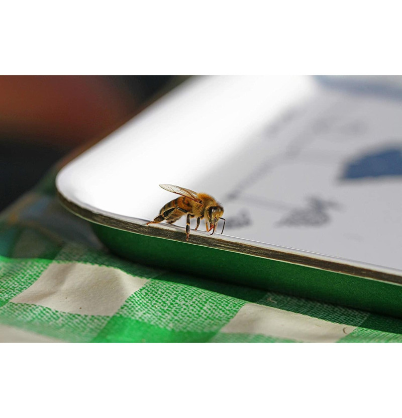 Arnidol Pic (1 Roll On 30 ml) - Diafarm