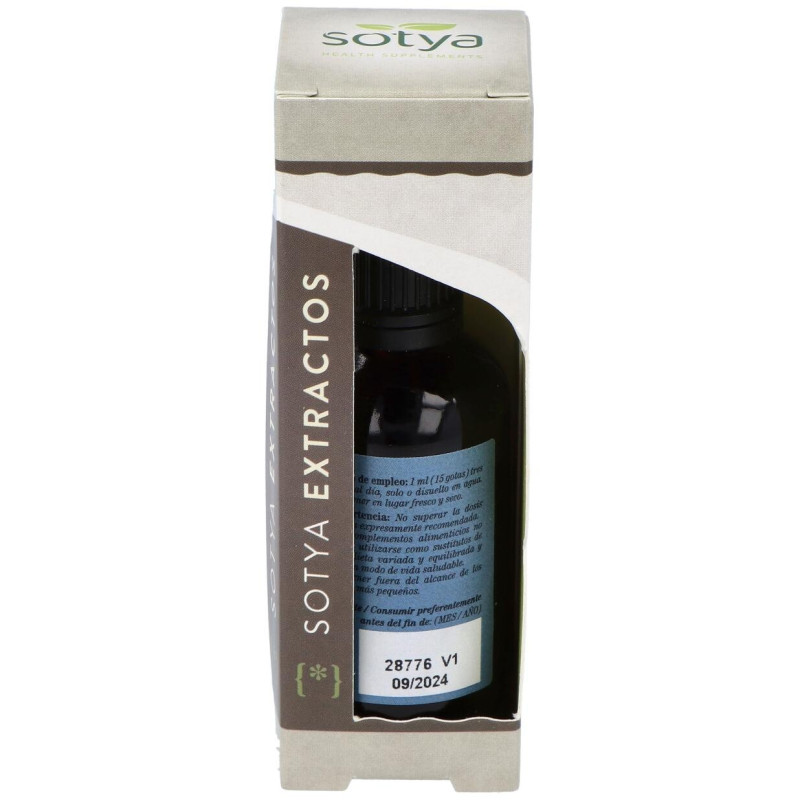Extracto Ginkgo Biloba 50Ml.