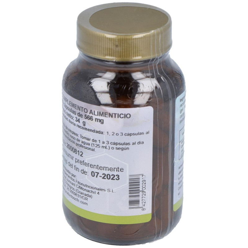 Cfn Cimicifuga Racemosa St 60Comp