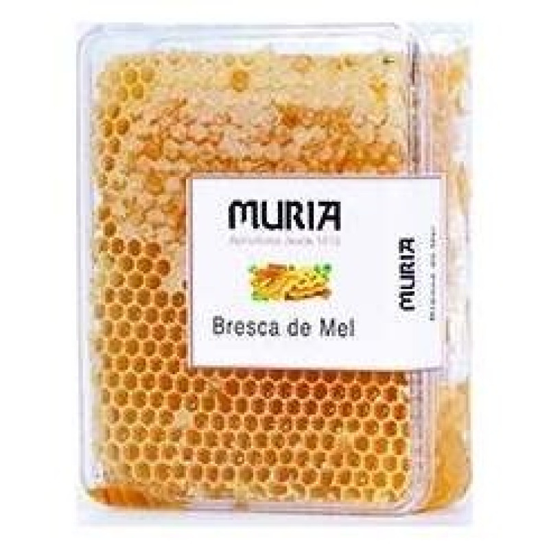Panal de Miel de Romero 450g - Muria