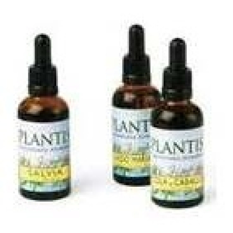 Ext.Ginkgo Biloba 50Ml Maese Herbario