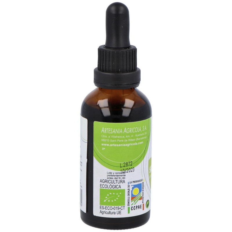 Ext. Llanten S/al Eco 50ml - Artesania Agricola